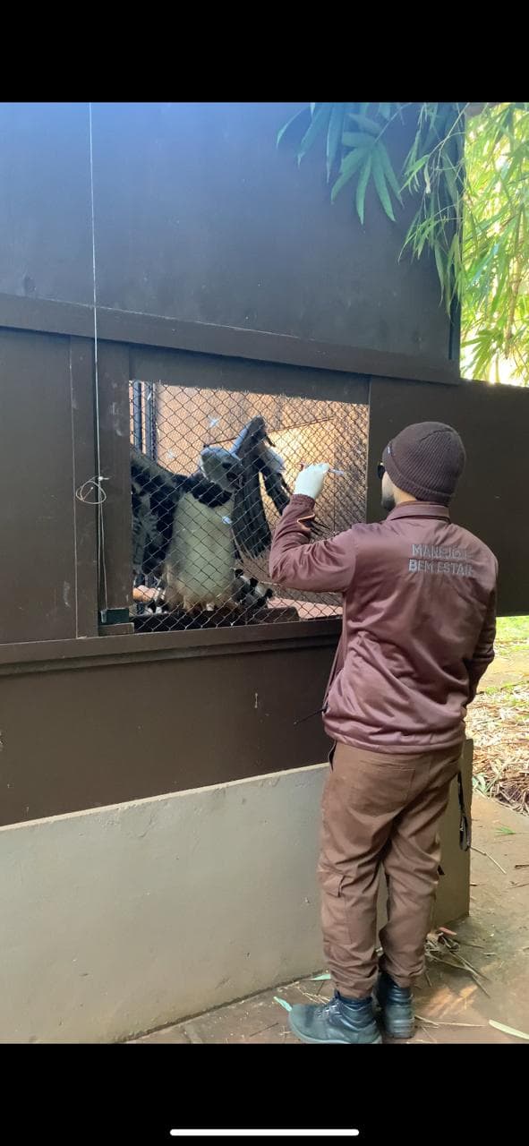 Treinamento técnico em manejo de fauna